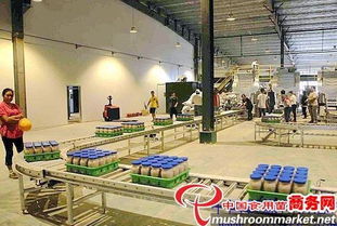 河北光明食品集團(tuán)臨西縣食用菌工廠化建設(shè)項(xiàng)目圓滿竣工，助力現(xiàn)代農(nóng)業(yè)發(fā)展